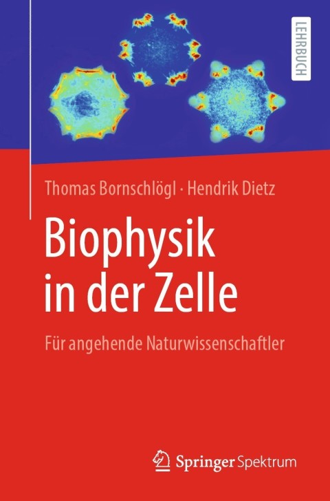 Biophysik in der Zelle 