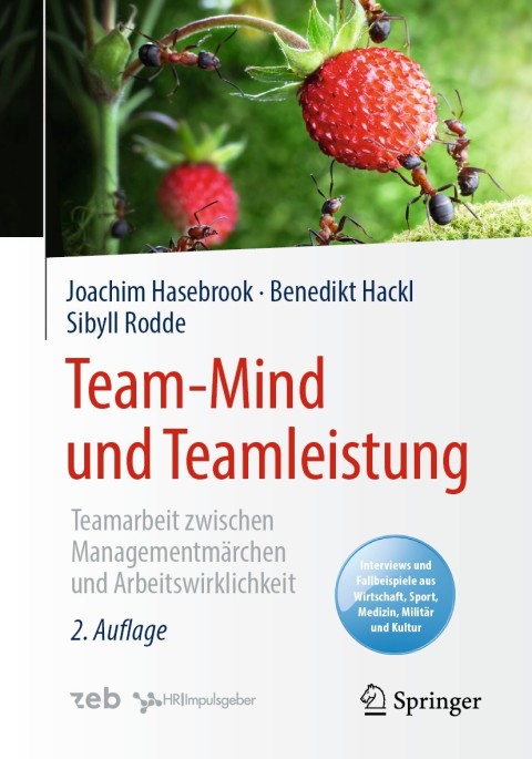 Cover image for book Team-Mind und Teamleistung