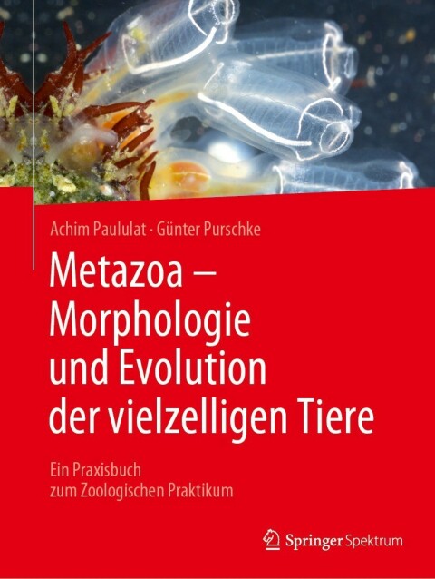 Metazoa - Morphologie und Evolution der vielzelligen Tiere 