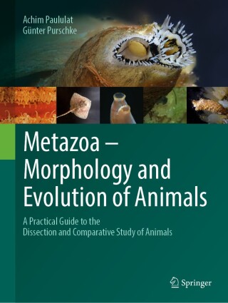 Metazoa – Morphology and Evolution of Animals