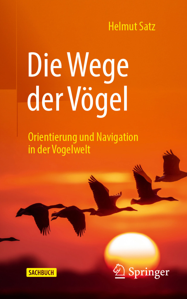 Die Wege der Vögel
