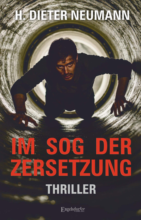 Cover image for book Im Sog der Zersetzung
