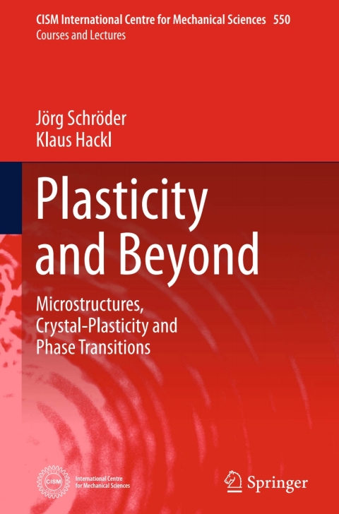 Cover image for book Plasticity and Beyond