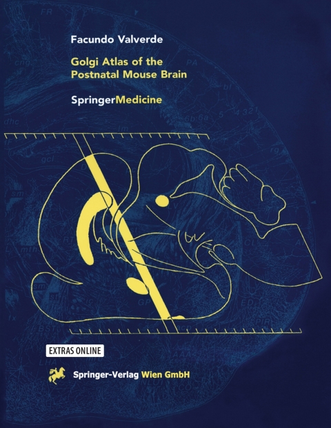 Cover image for book Golgi Atlas of the Postnatal Mouse Brain