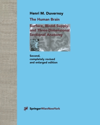 The Human Brain