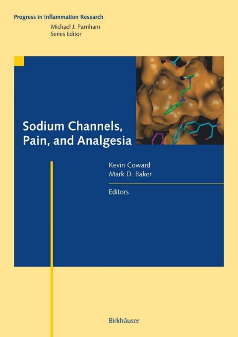 Sodium Channels, Pain, and Analgesia 