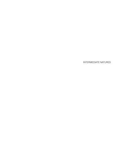 Cover image for book Intermediate Natures