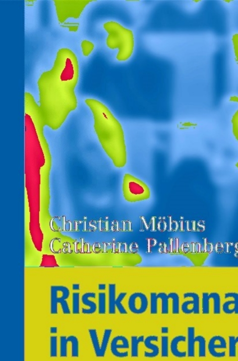 Cover image for book Risikomanagement in Versicherungsunternehmen