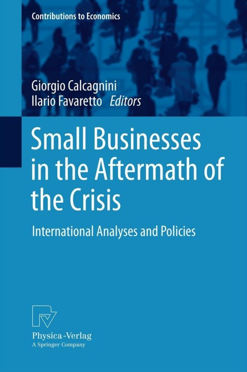 Cover image for book Small Businesses in the Aftermath of the Crisis