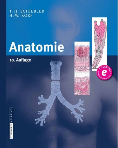 Cover image for book Anatomie