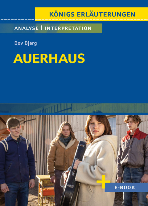 Cover image for book Auerhaus von Bov Bjerg - Textanalyse und Interpretation