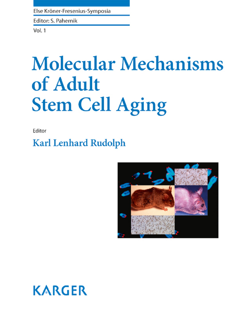 Cover image for book Molecular Mechanisms of Adult Stem Cell Aging