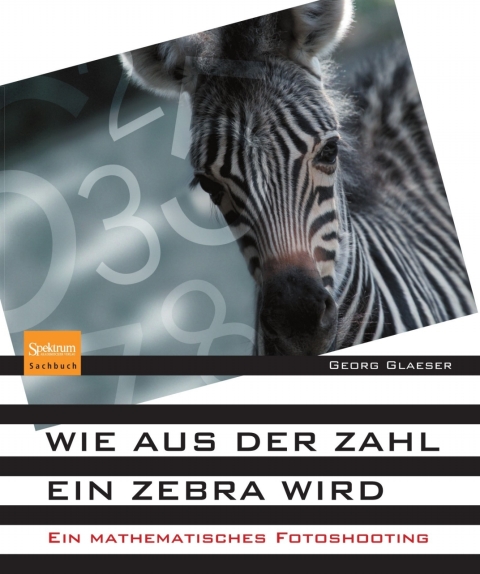 Wie aus der Zahl ein Zebra wird 
