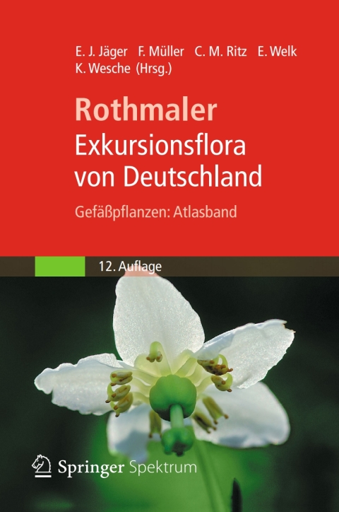Cover image for book Rothmaler - Exkursionsflora von Deutschland, Gefäßpflanzen: Atlasband