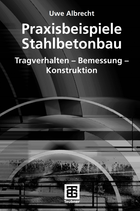 Cover image for book Praxisbeispiele Stahlbetonbau