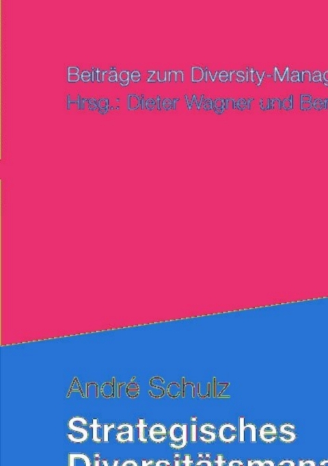 Cover image for book Strategisches Diversitätsmanagement