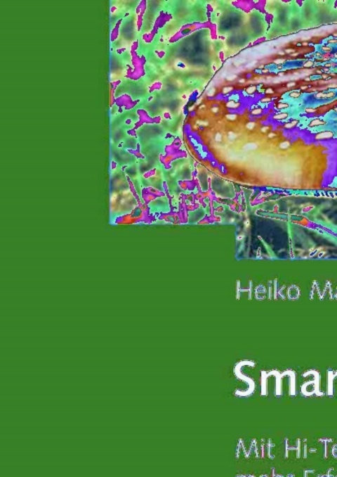 Cover image for book Smart Success