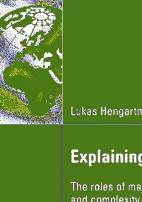 Cover image for book Explaining Executive Pay