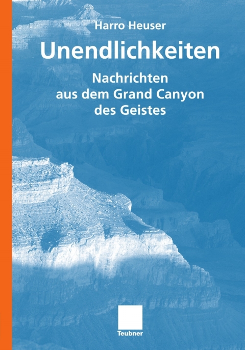 Cover image for book Unendlichkeiten