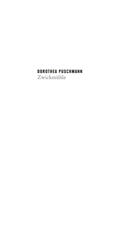 Cover image for book Zwickmühle