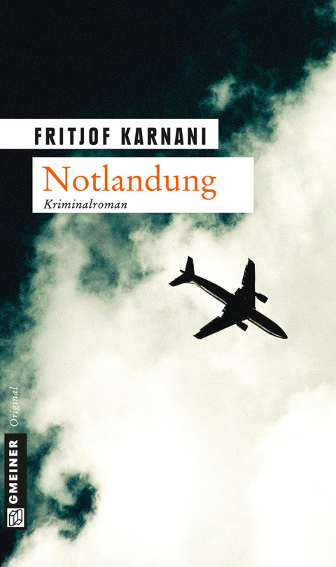 Cover image for book Notlandung