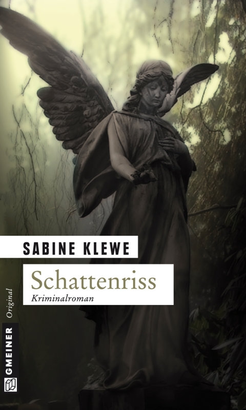 Cover image for book Schattenriss