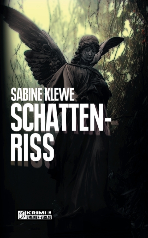 Cover image for book Schattenriss
