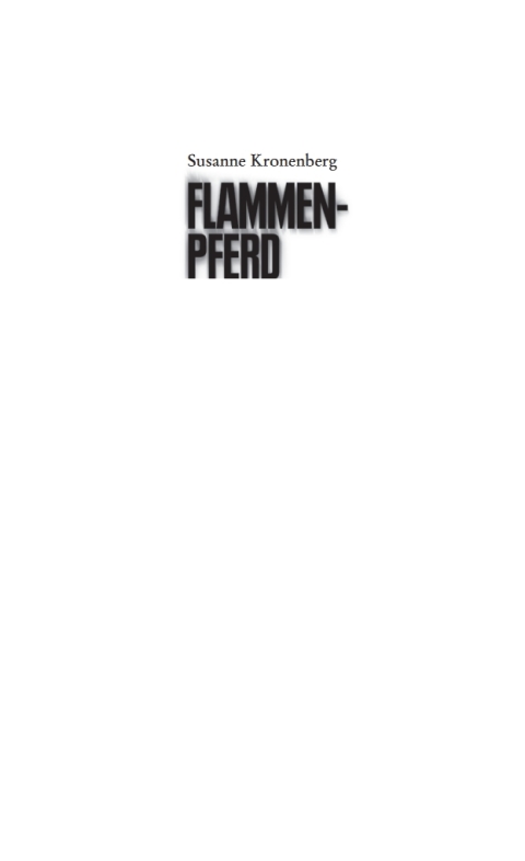Cover image for book Flammenpferd