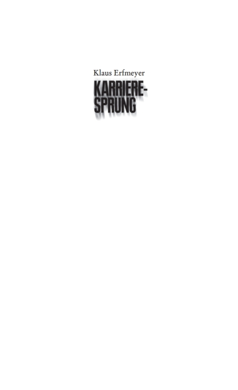 Cover image for book Karrieresprung