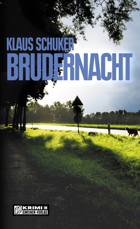 Cover image for book Brudernacht