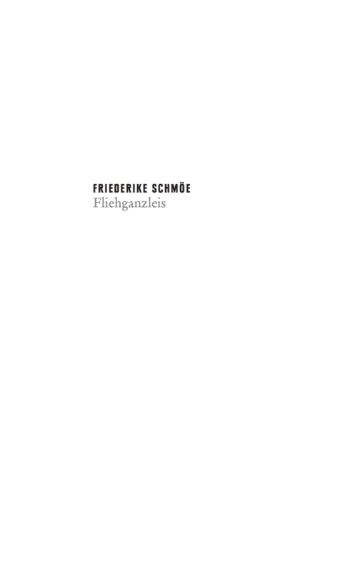 Cover image for book Fliehganzleis