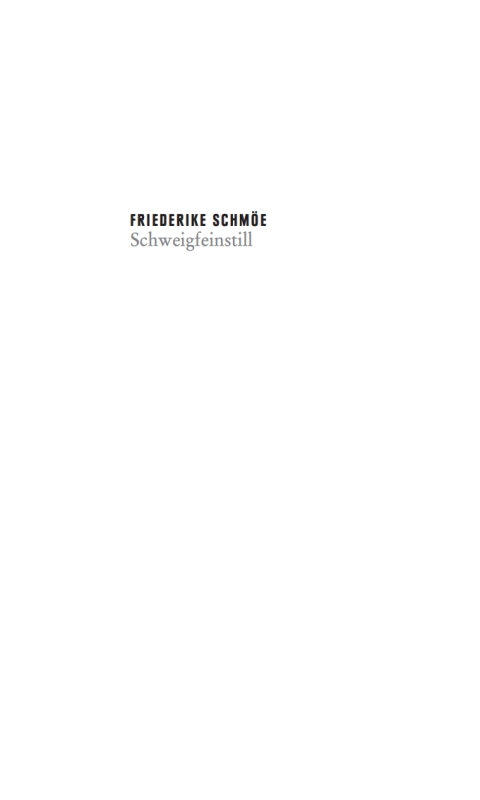 Cover image for book Schweigfeinstill