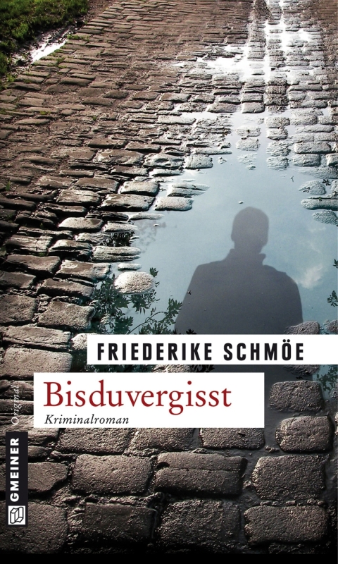 Cover image for book Bisduvergisst