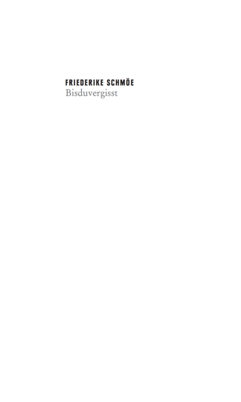 Cover image for book Bisduvergisst