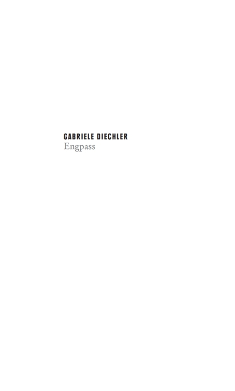 Cover image for book Engpass