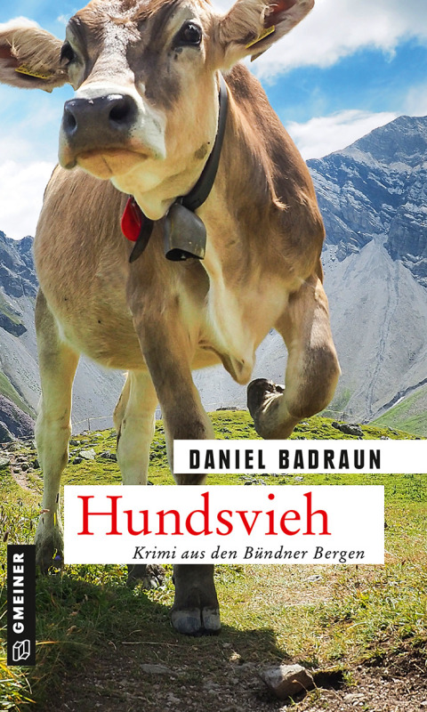 Cover image for book Hundsvieh