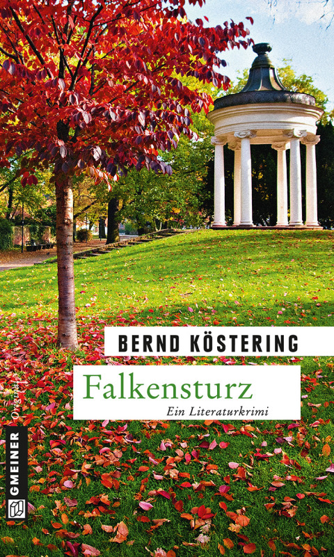 Cover image for book Falkensturz