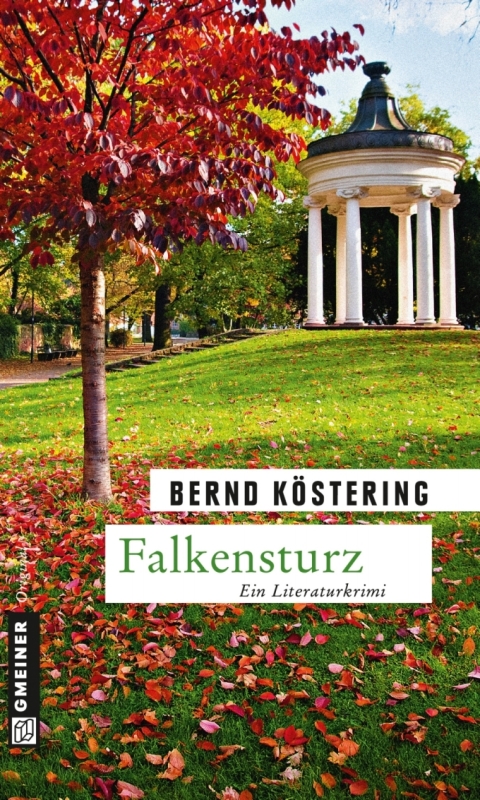 Cover image for book Falkensturz