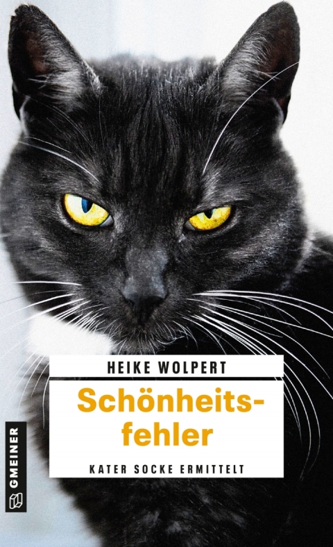 Cover image for book Schönheitsfehler