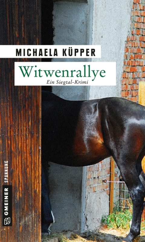 Cover image for book Witwenrallye