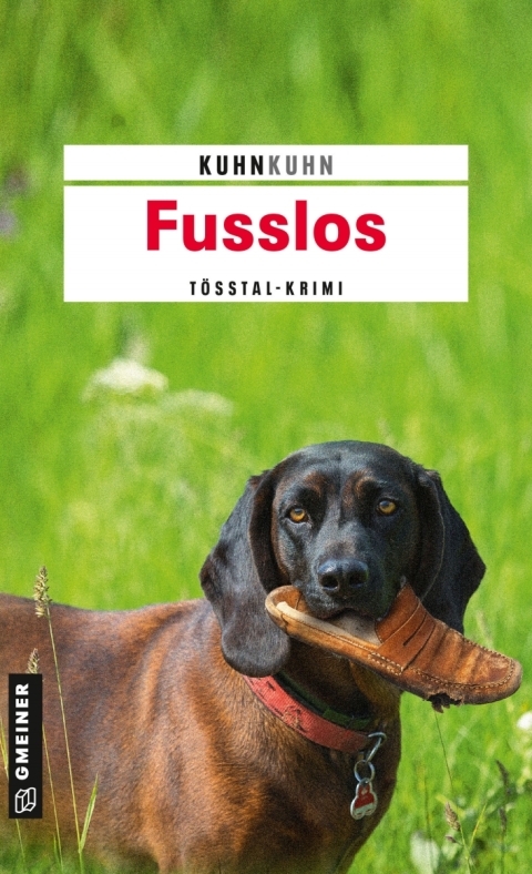 Cover image for book Fusslos