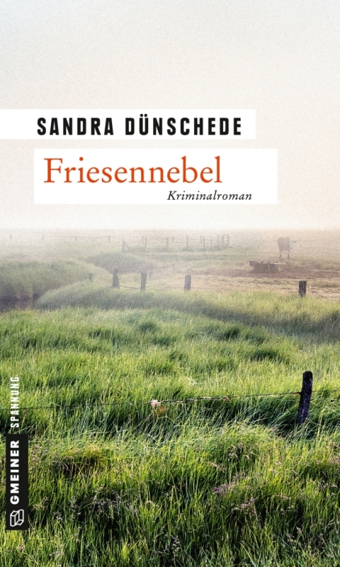 Cover image for book Friesennebel