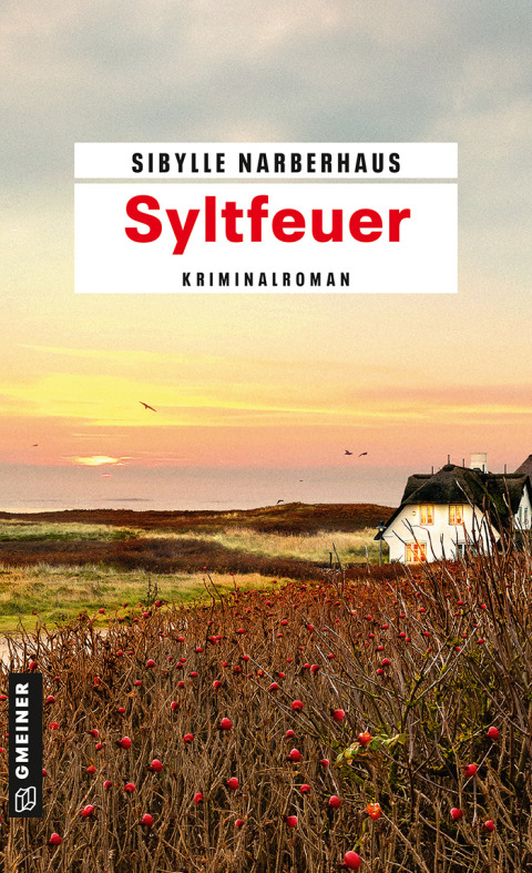 Cover image for book Syltfeuer