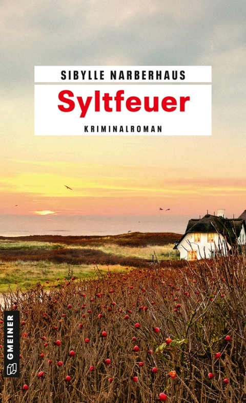 Cover image for book Syltfeuer