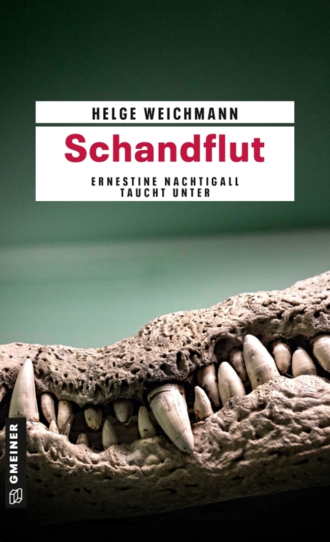 Cover image for book Schandflut