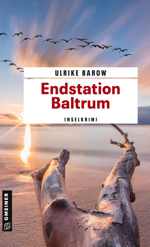 Cover image for book Endstation Baltrum