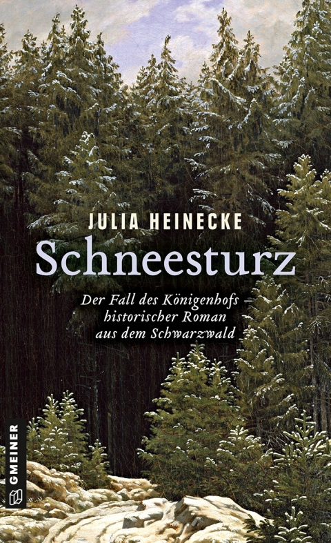 Cover image for book Schneesturz - Der Fall des Königenhofs