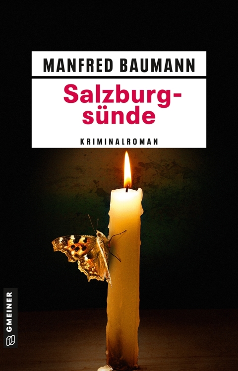 Cover image for book Salzburgsünde