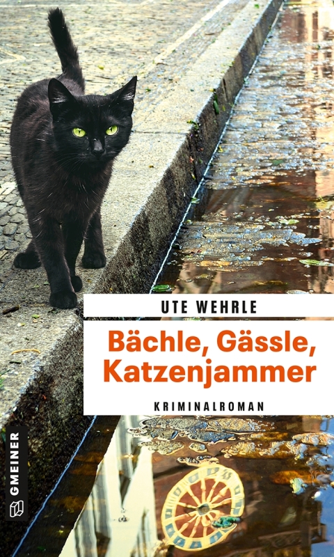 Cover image for book Bächle, Gässle, Katzenjammer