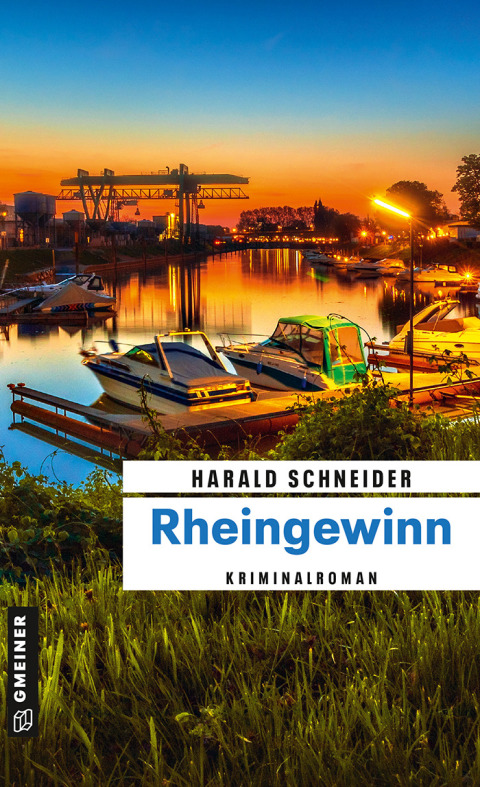 Cover image for book Rheingewinn